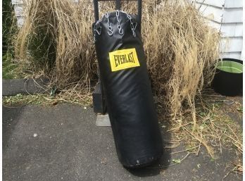 Everlast Heavy Punching Bag With Hanging Chains