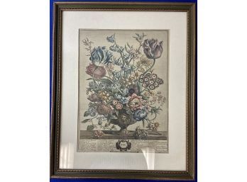 Twelve Months Of Flowers Print - 'April' - Stunning Frame - Matches The 'May' Print In This Sale
