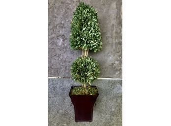 Boxwood Topiary In Toleware Cachepot