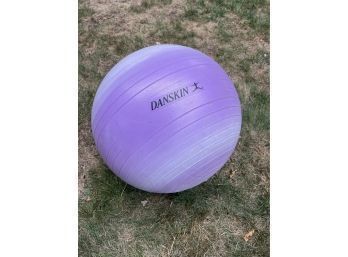 Danskin Exercise Ball