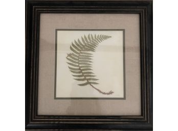 Fern Print  - Signed 'Casual Home' (1 Of Set Of 2)