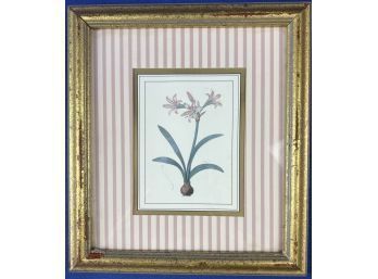 Framed Botanical Print - Signed 'Balangier Designs - Fort Lee, NJ'