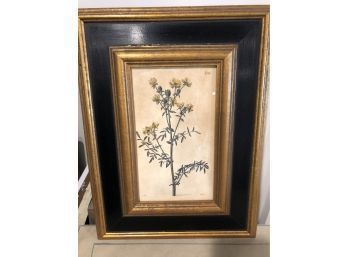 Quality Framed Botanical Print - Signed 'Sullins House' - One Of Six In Sale