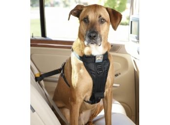 KURGO Smart Harness Dog Car Restraint - Size L