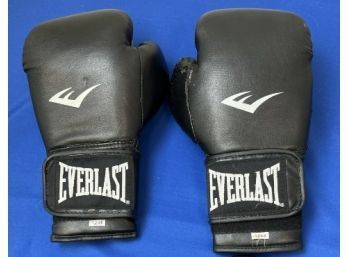 Everlast Boxing Gloves