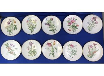 Fantastic Set Of Ten Hand Painted Vintage Porcelain Botanical Plates - No Two Alike - Signed On Base
