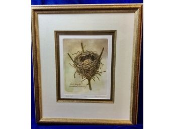 'Birds' Nest' - Original Etching By Daniel Van Zyle - Numbered 7/250