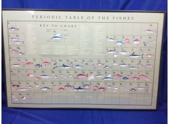Periodic Table Of The Fishes- Poster