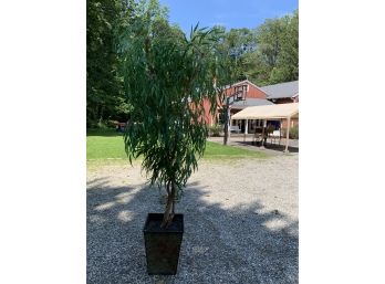 Faux Willow Tree With Decorative Base