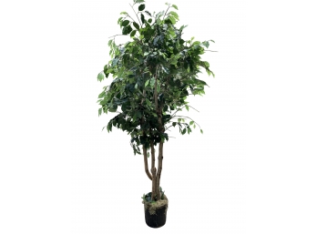 7' Artificial Ficus Tree
