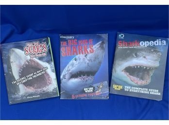 Complete Guides To Everything Shark