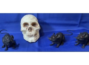 Skeleton & Rats