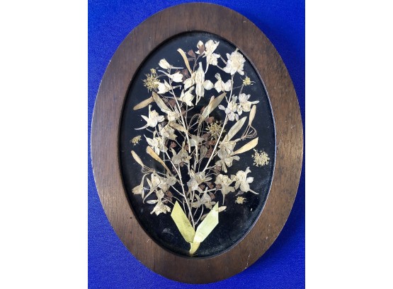 Vintage Framed Pressed Flowers - Lovely Old Mahogany Oval Frame