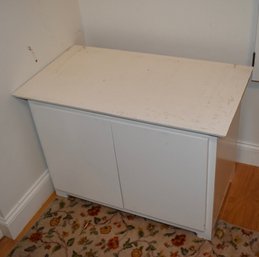2 Door Storage Cabinet W/Shelf
