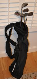 Ping Golf Bag With Womens Clubs