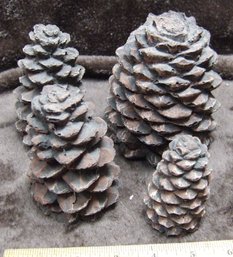 Fireplace Pine Cones (Lot Qty Of 4)