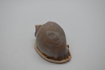Carved Seashell #685