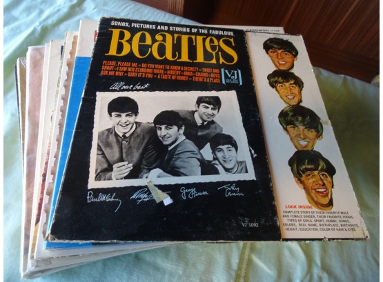 20 Misc. Vinyl Albums. Beatles, Clapton, Ace, Ray Charles, Doris Day, Jack Jones And More.