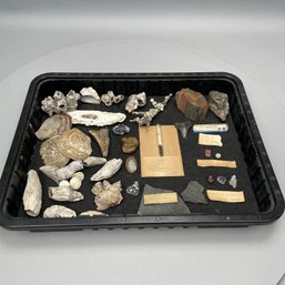 Group Of Petrified Wood, Rocks, Shells, Garnets