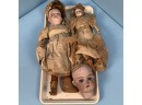 Two Bisque Dolls And A Halbig C.M. Bergmann Head