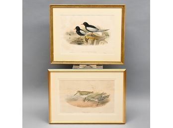 Two Lithographs Depicting Waterbirds, J. Gould