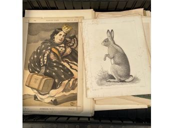 Large Lot Of Prints And Book Plates, Many Hand Colored
