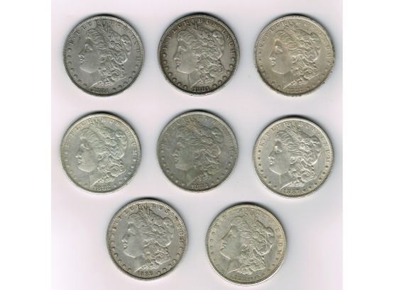 Eight Morgan Silver Dollars