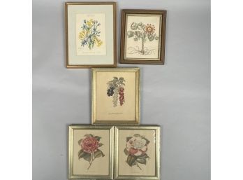 Four Botanical Prints And A Paper Cut-Out, Twentieth Century