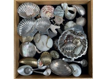Collector's Display Case Of Shells, Sterling Silver Shells And Other Objets De Vertu