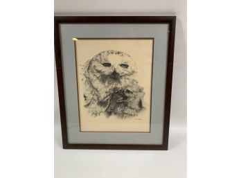 Owl With Baby Sketch By Albert J. Casson Signed By Artist