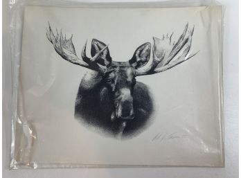 Wildlife Sketch Of Moose Signed By Albert J. Casson