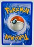 Awesome CHARIZARD Secret Wonders (SW) Holographic Pokemon Card!!