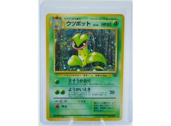 Japanese VICTREEBEL Jungle Set Holographic Pokemon Card!!