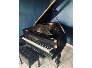 Stunning, One-of-a-kind Late 1800s German Julius Feurich ART CASE Grand Piano (compares To $100k Steinway)