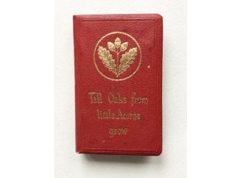 (E41) VINTAGE BANK W/'SAYING TALL OAKS FROM LITTLE ACORNS GROW' OPEN BUT NO KEY