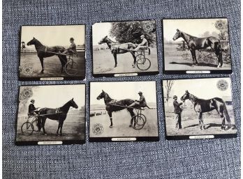 (A5) CIRCA 1890'S AMERICAN TROTTER HORSE CARDS-J&P COATS COTTON-SET OF 6