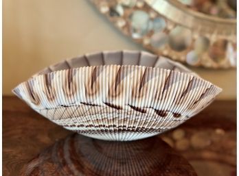 (DR) VINTAGE MURANO SEASHELL CENTERPIECE - VERY DETAILED THIN GLASS - 17' BY 9'