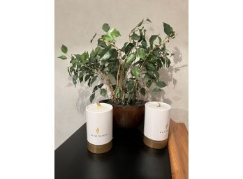 (BA-46) POTTED TABLETOP FAUX FICUS PLANT & TWO 'LUMINARA' FAUX FLAME PILLAR CANDLES, NEW