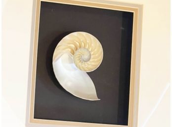 (UP-O) PAIR FRAMED NAUTILUS SHELL ART - 16' BY 16'