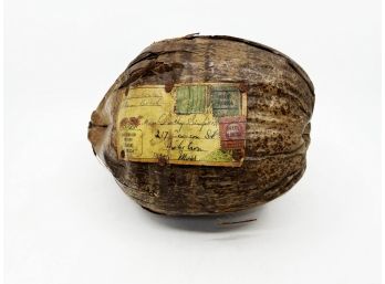 (A-15) VINTAGE 1950'S WHOLE COCONUT MAILED FROM MIAMI BEACH TO MASS. WITH STAMPS ON THE SHELL - 7'-9'-KITCHY!