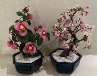Japanese Authentic Jade Trees - 2