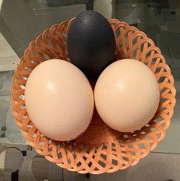 Large Eggs - 2 Ostrich  1 Japanese Owakudani Black Egg