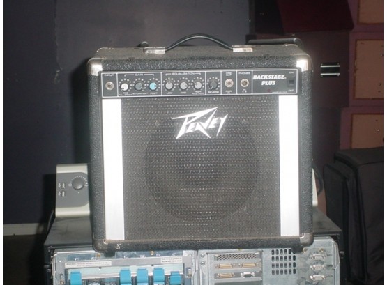 Peavey Backstage Plus Amplifier/Speaker  (268)