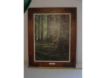 Framed Print, 'Redwood Sanctuary' By Allen Husberg, 24'x 31'  (42)