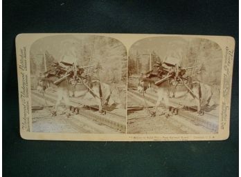 Stereo Viewer Card, 'I Helped To Build Pike's Peak Railroad Myself' (1164)