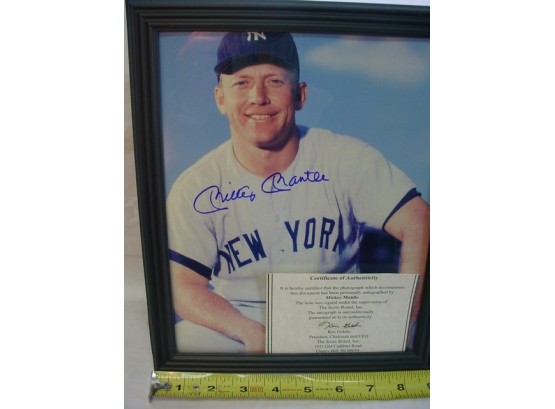 Mickey Mantle Signed Photo, 8'x 10'  (219)