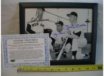Mantle, Williams, Berra Signed Photo, 8'x 10'  (224)