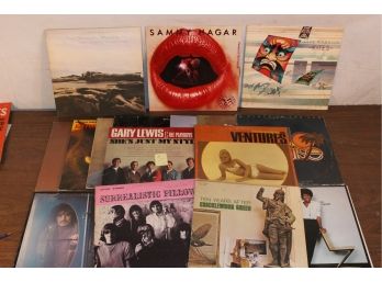 19 Classic 60s & 70s Rock Records  (311)
