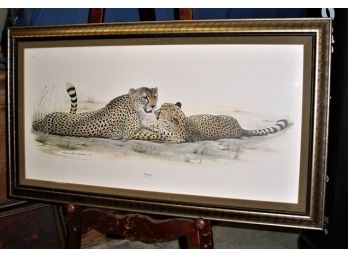 Large Framed Print, 'Cheetah', Richard Evens Younger, 1972, 46'x 26'   (122)