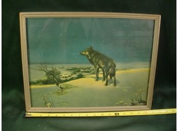 Framed Lone Wolf Print, 17'x 13'  (82)
